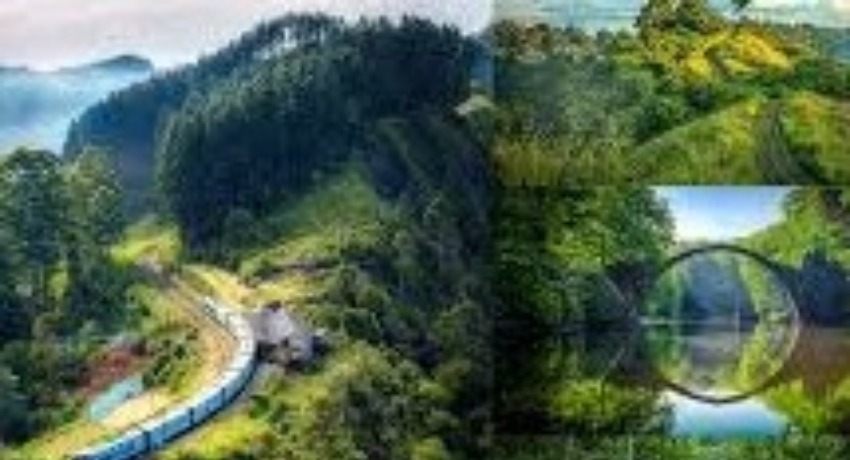 灵感实验室 - 蘑菇视频官网入口 - 大胆尝试先锋创意的探索空间